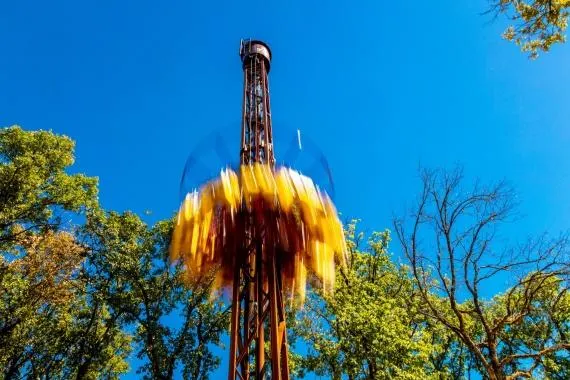 Wild Tower