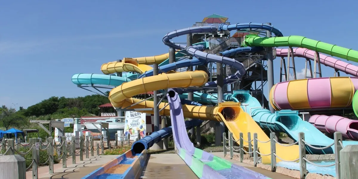 Paradise Plunge