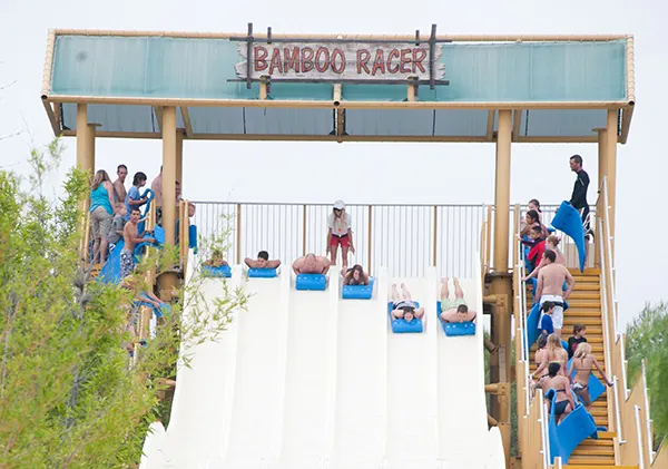 Bamboo Racer