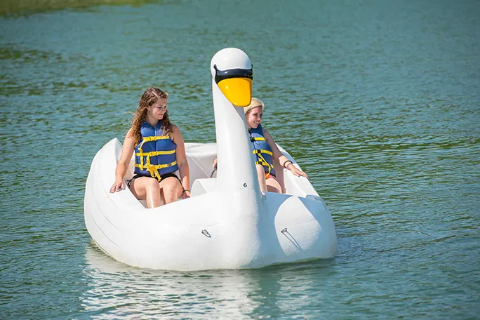 Swan Boats