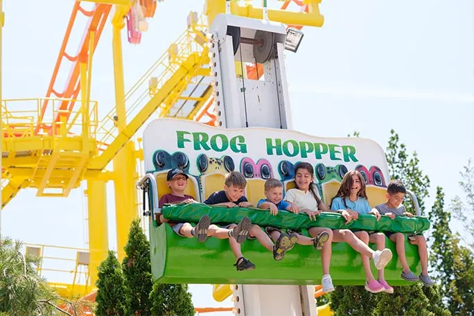 Frog Hopper