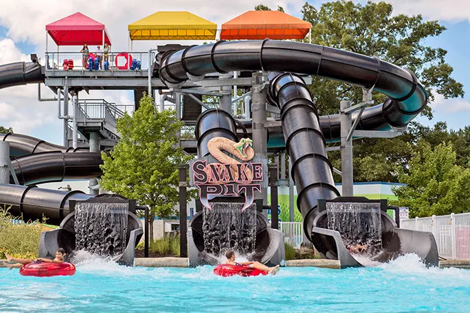 Snake Pit