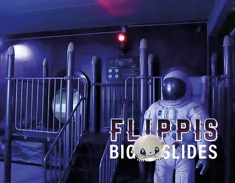 Flippi’s Big Slides