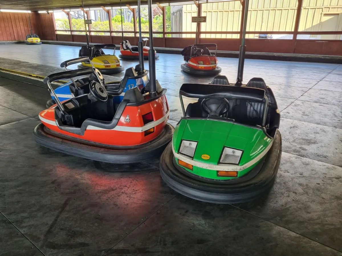 Bear Valley Bumper Buggies