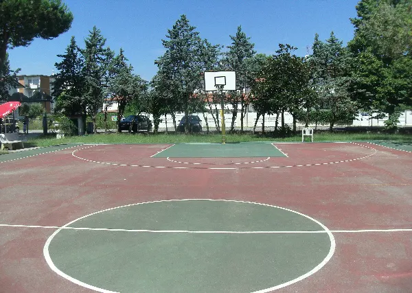 Basket / Volley