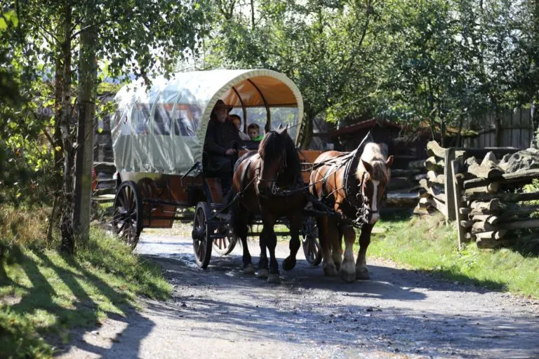 Kutschfahrten