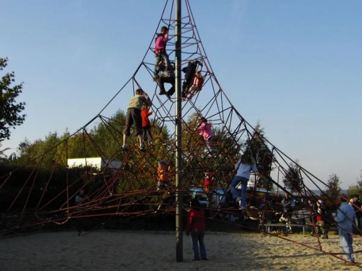 Kletterspinne