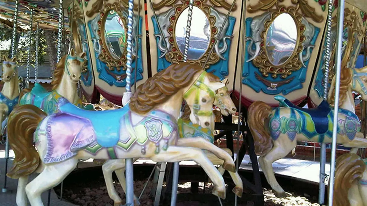 The Carousel Experience