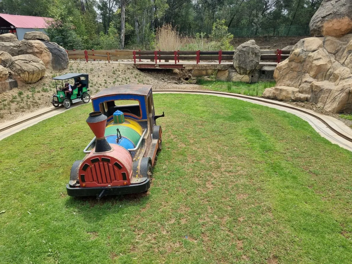 Vintage Cars