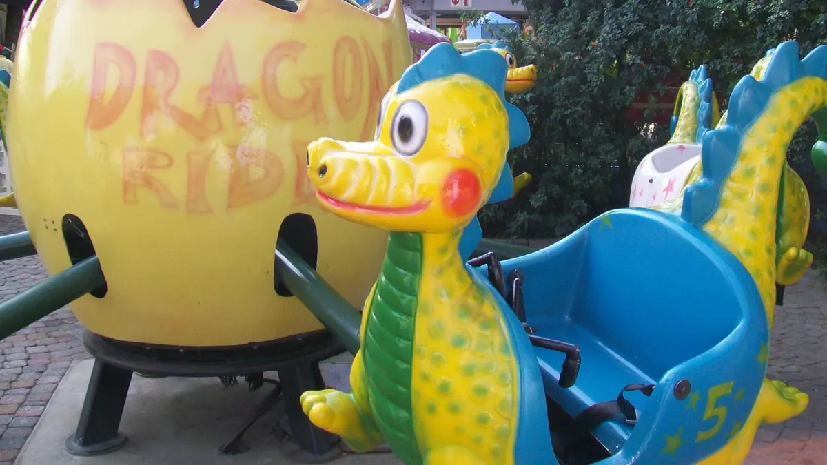 The Dragon Experience
