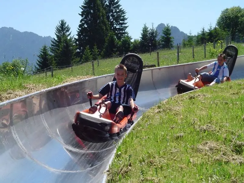 Sommerrodelbahn