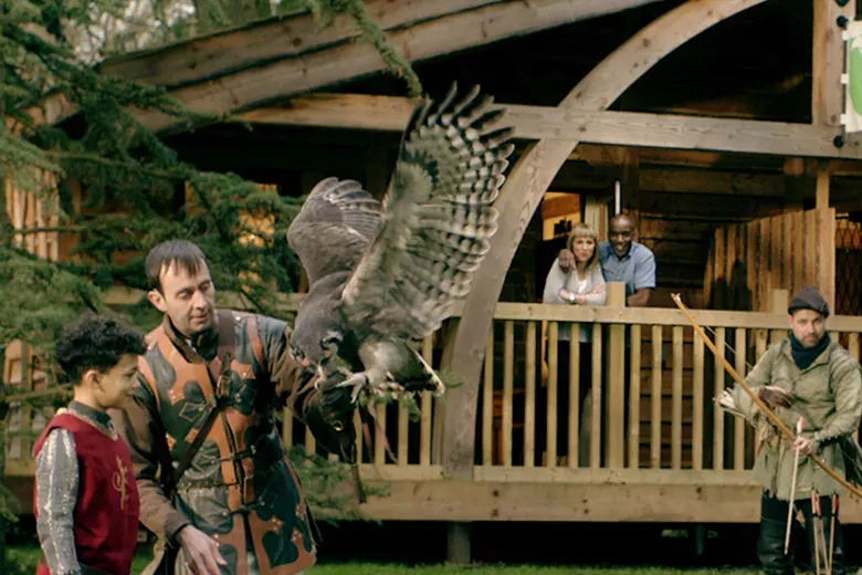 The Falconer's Quest