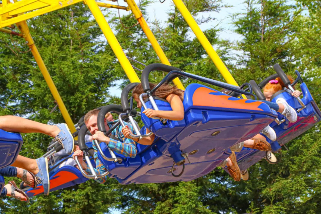 Icarus Sky Flyer