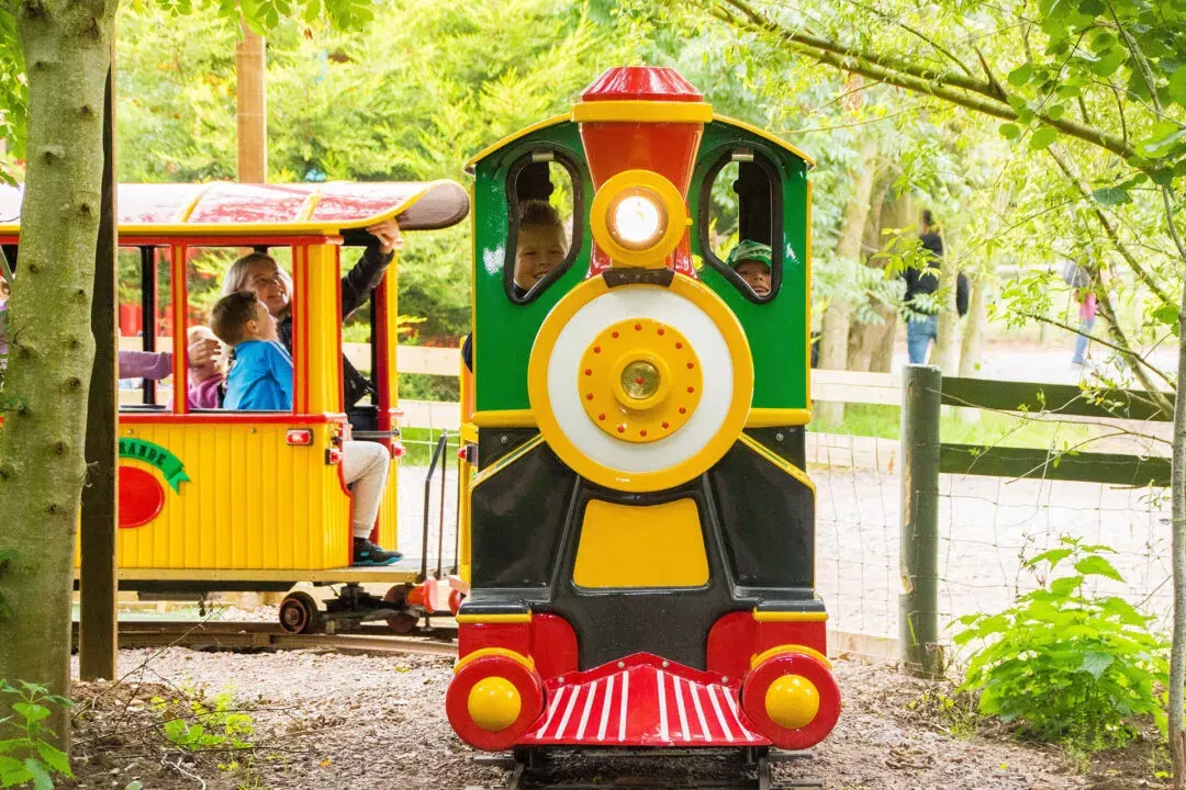 Rio Grande Train