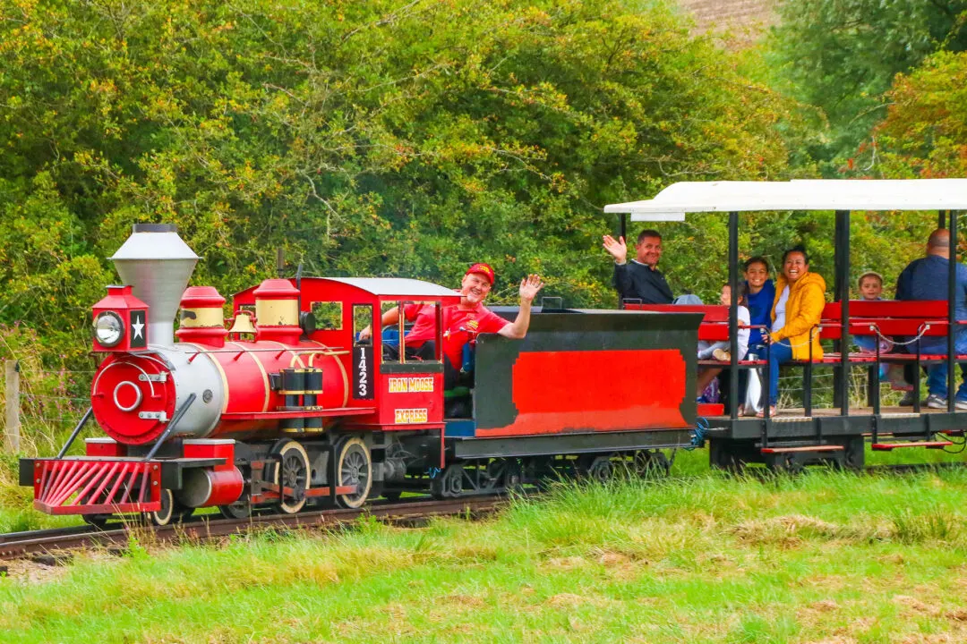 Iron Mouse Express Train