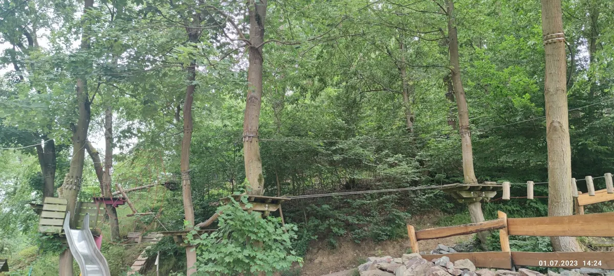 Kletterwald