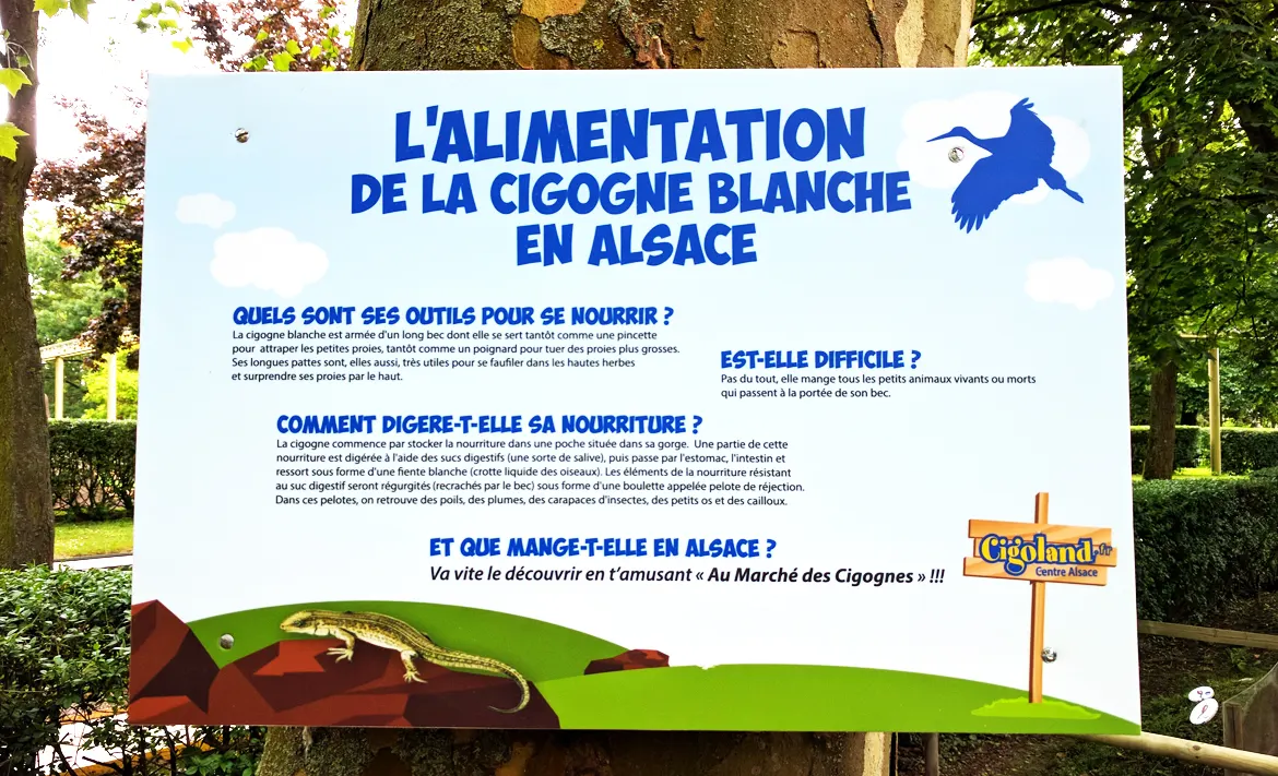 Le Marche de la Cigogne