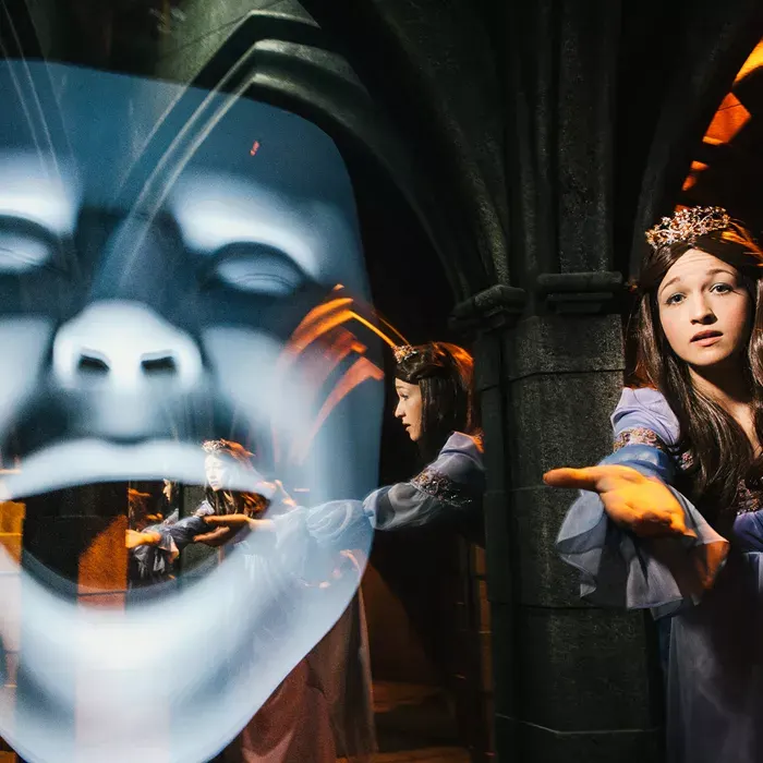 The mirror maze