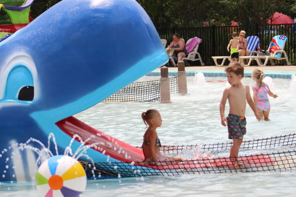 Willy the Whale Slide