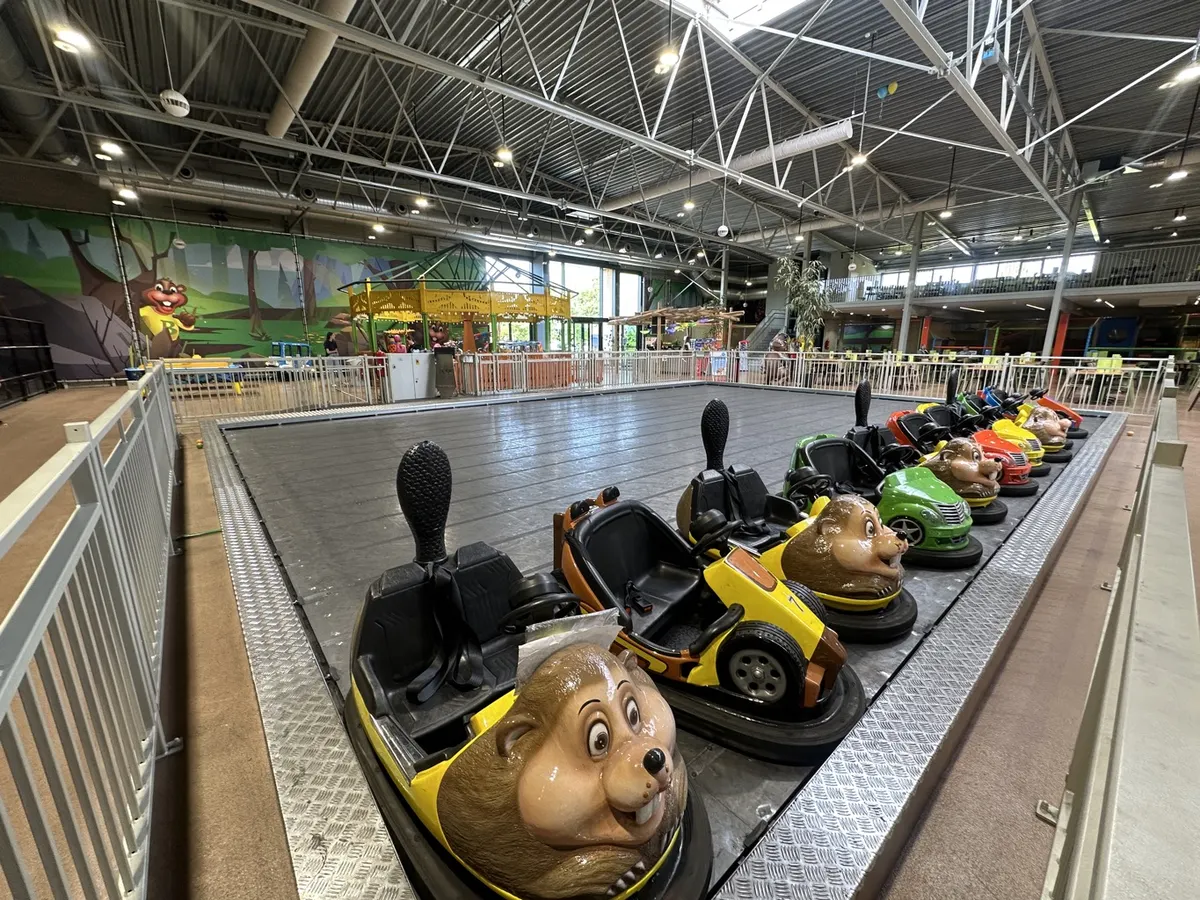 Botsauto´s