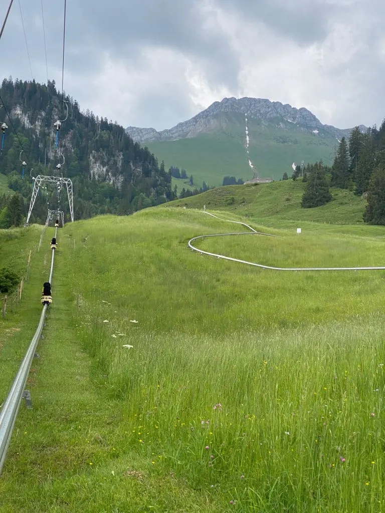 Sommer-Rodelbahn