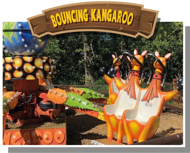 Bouncing Kangaroo