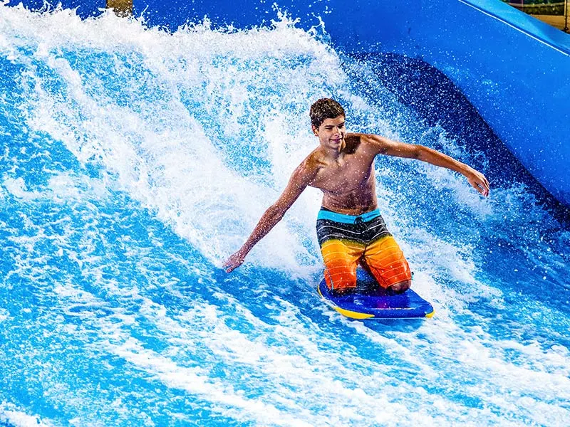 Surfing Safari
