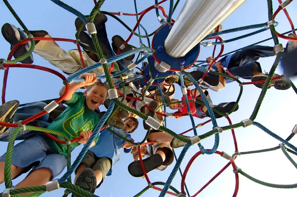 The Spider Web