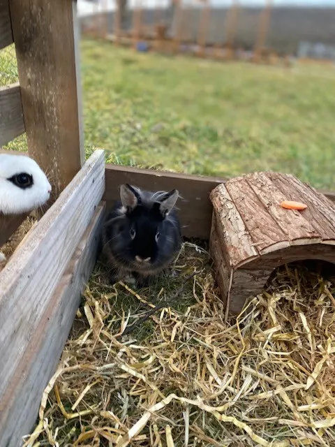 La Mini Ferme