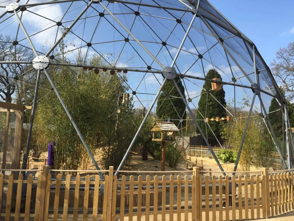 Wolloomooloo Aviary