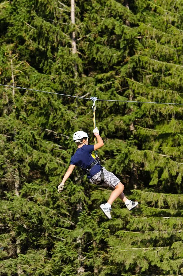 Zip Line