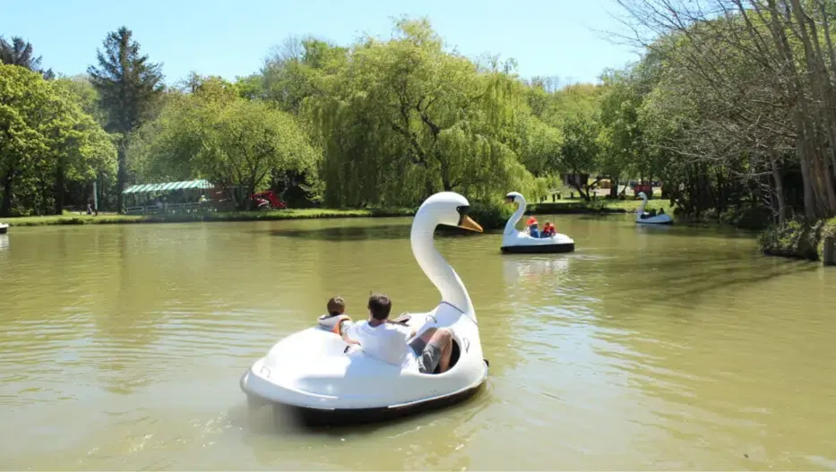 Swan Lake Pedalos