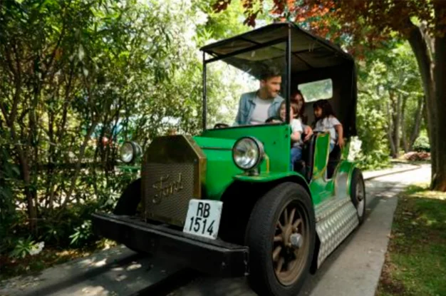 Ford T