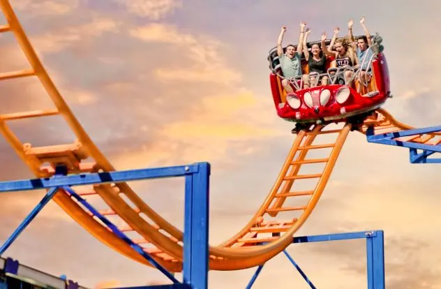 Wild Mouse