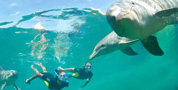 Dolphine Cay