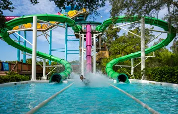 Water Moccasin