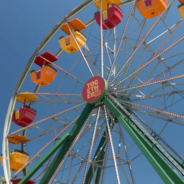 Century Wheel