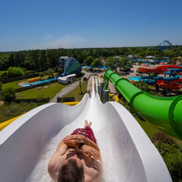 Bonzai Pipelines