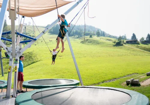 Bungee Trampoline