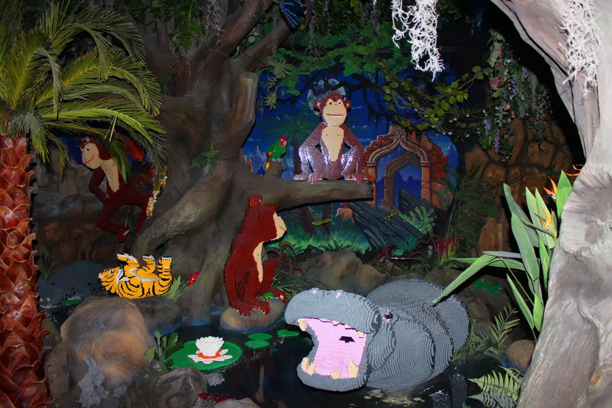 Jungle Expedition