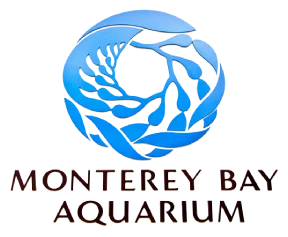 Monterey Bay Aquarium