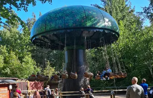 Nøddesvinget