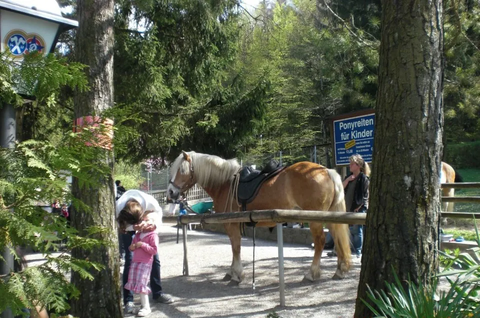 Ponnyreiten