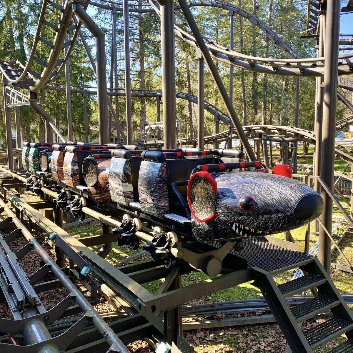 Wild Mouse