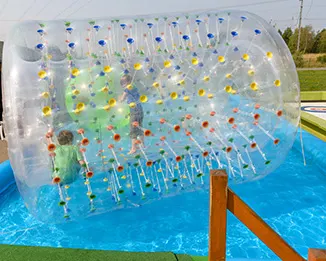 WasserWalkingBall