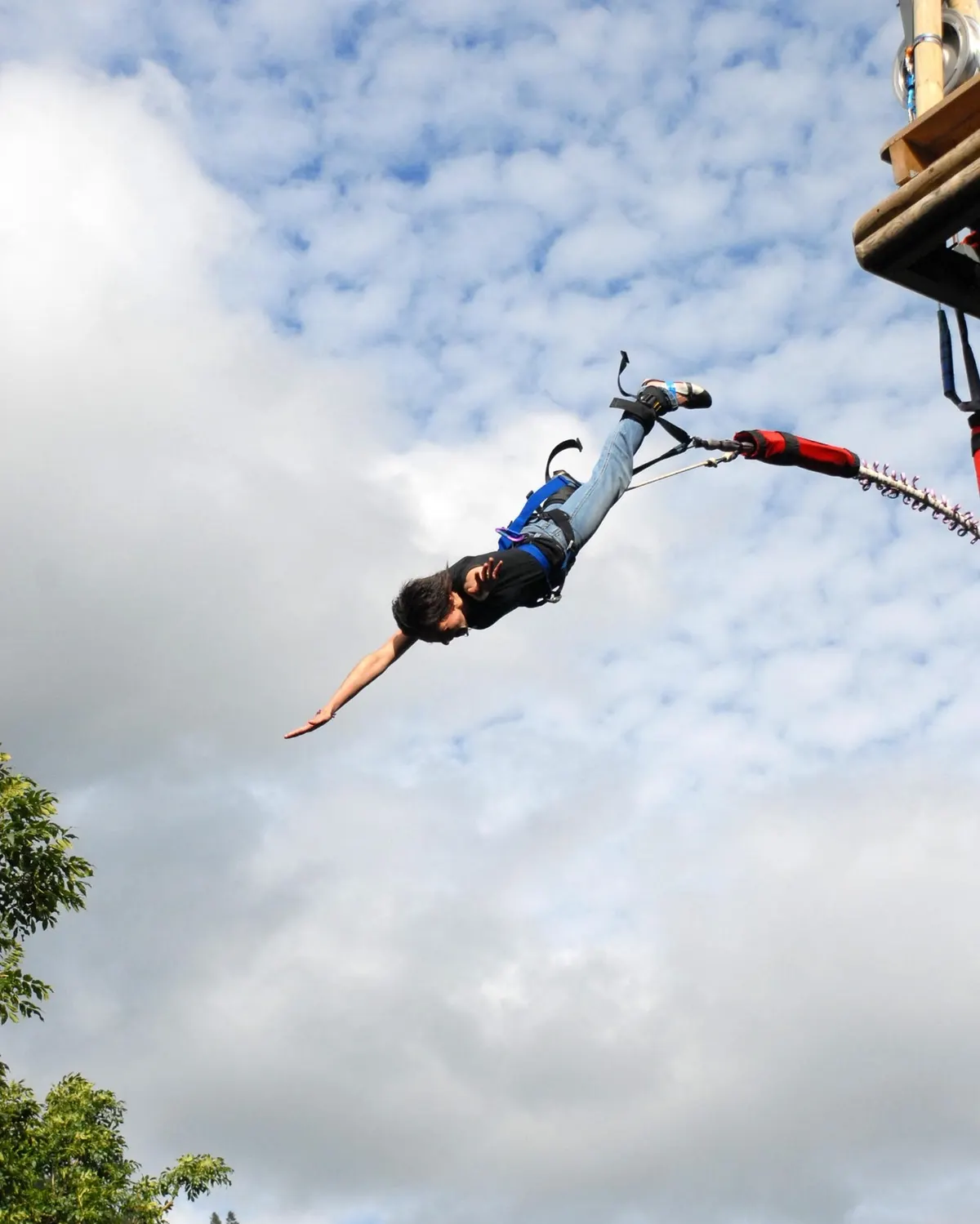 Saut à l'élastique