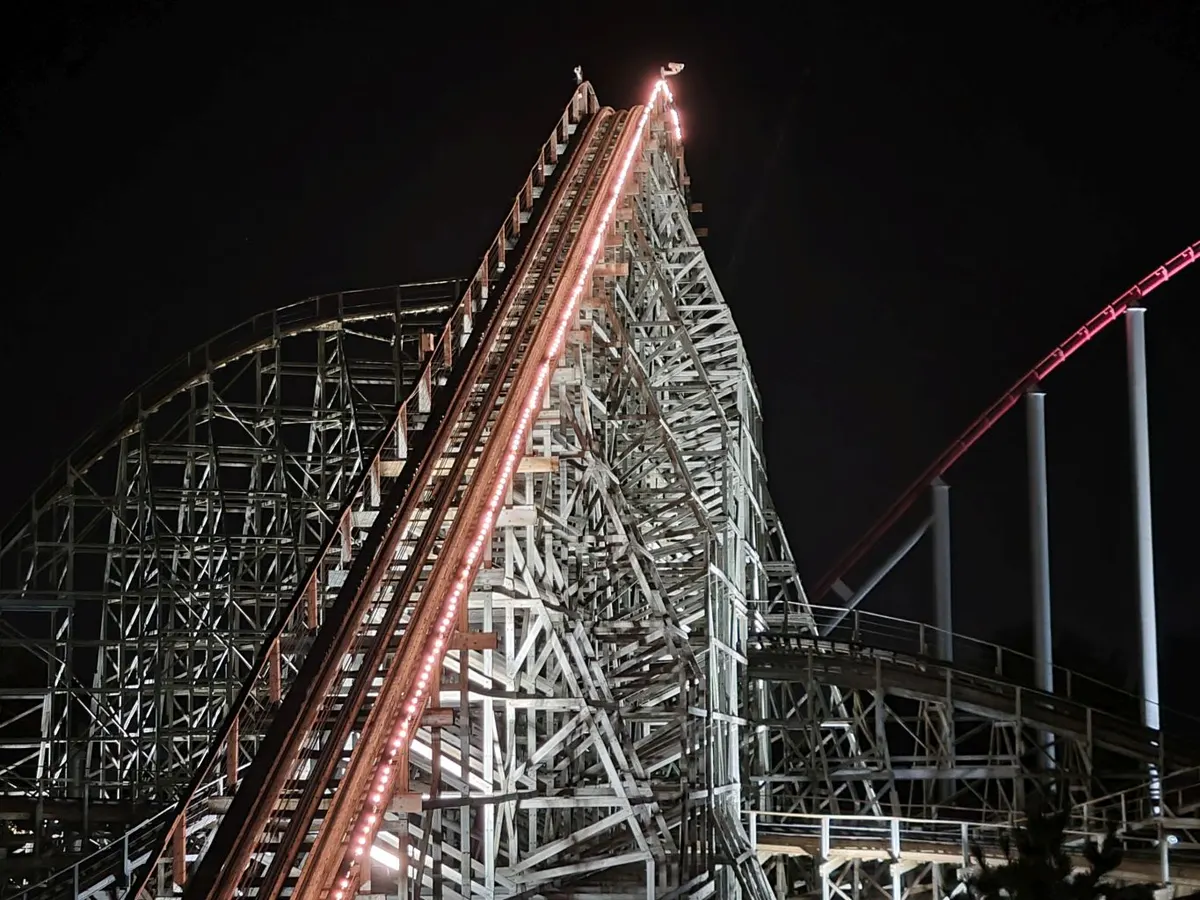 Timber Wolf