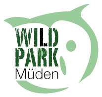 Wildpark Müden