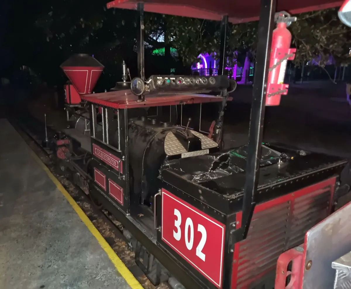 Safari Train