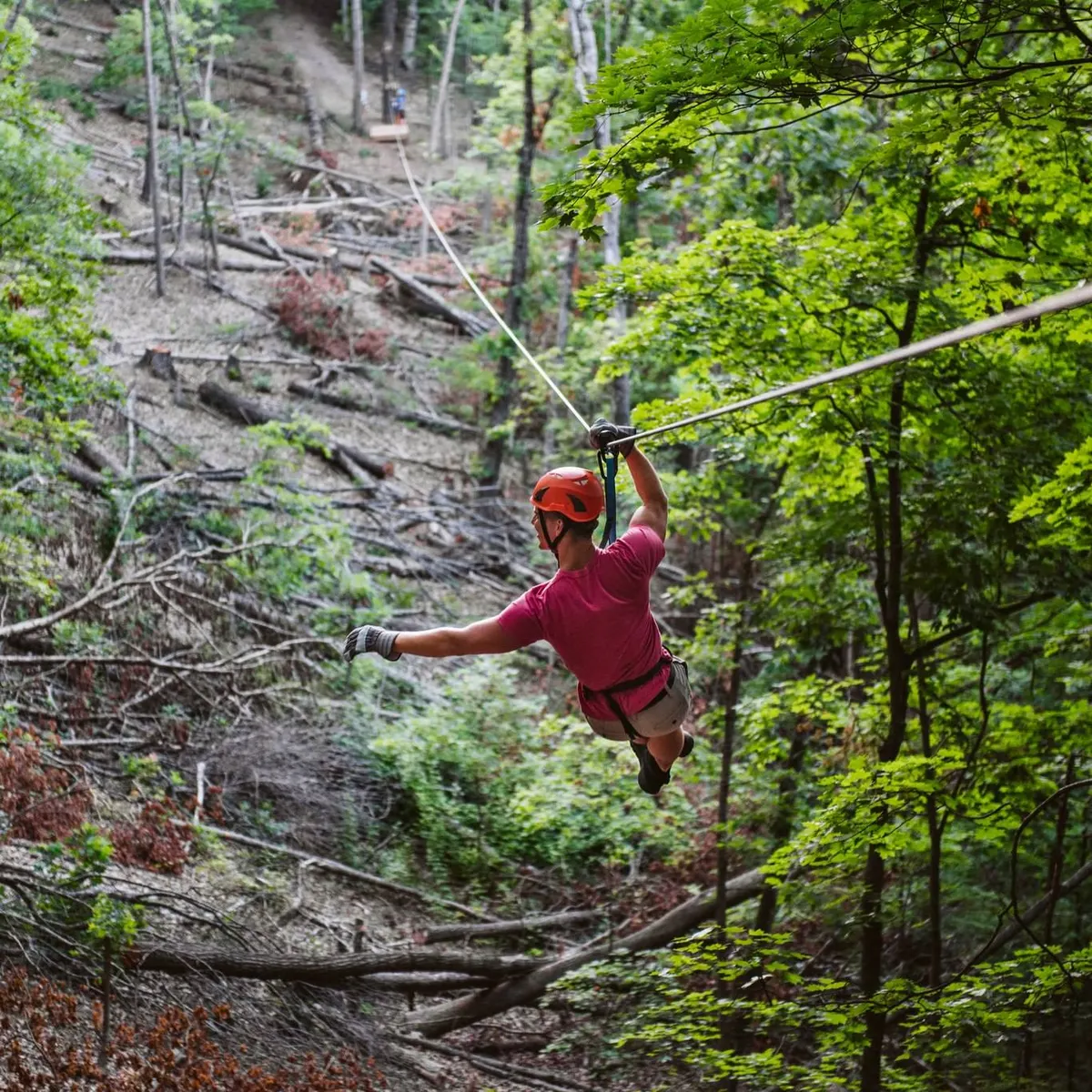 Zipline Canopy Tours